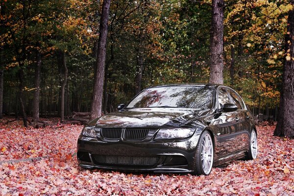 Coche negro estacionado en el bosque