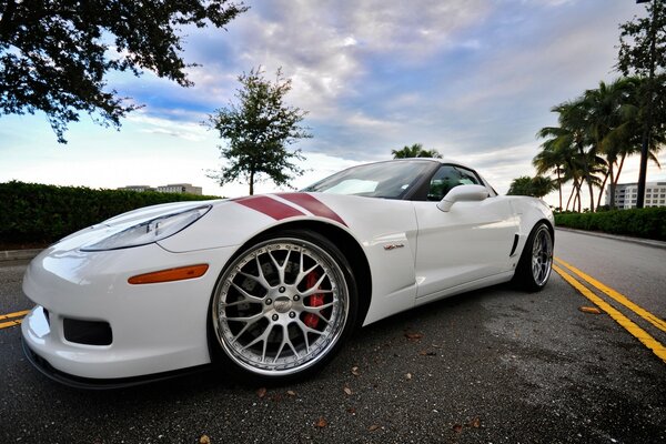 Porsche in all its glory