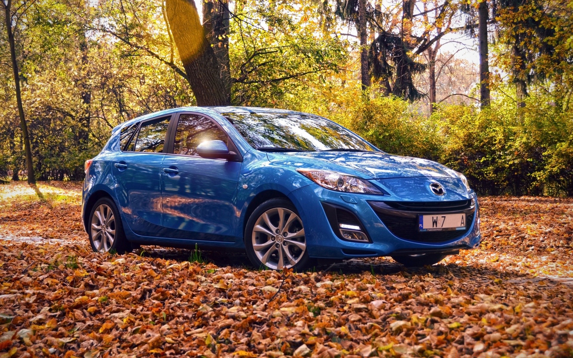 otros aparatos coche coche al aire libre otoño ruedas madera naturaleza disco