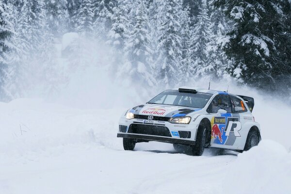 Car racing against the background of snowy trees