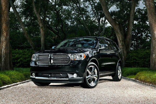 Black SUV on a background of trees