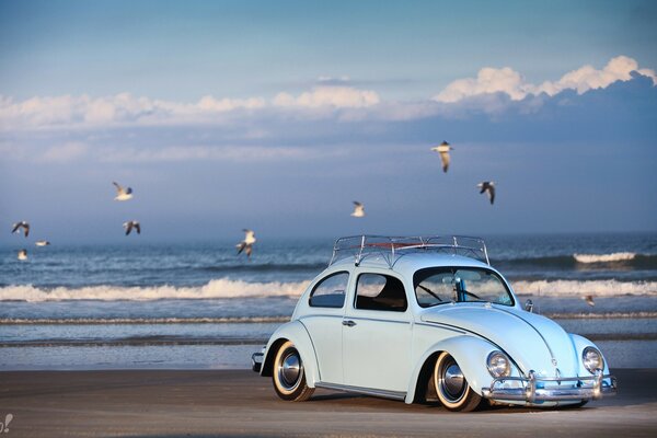 Retro car on the seashore among seagulls