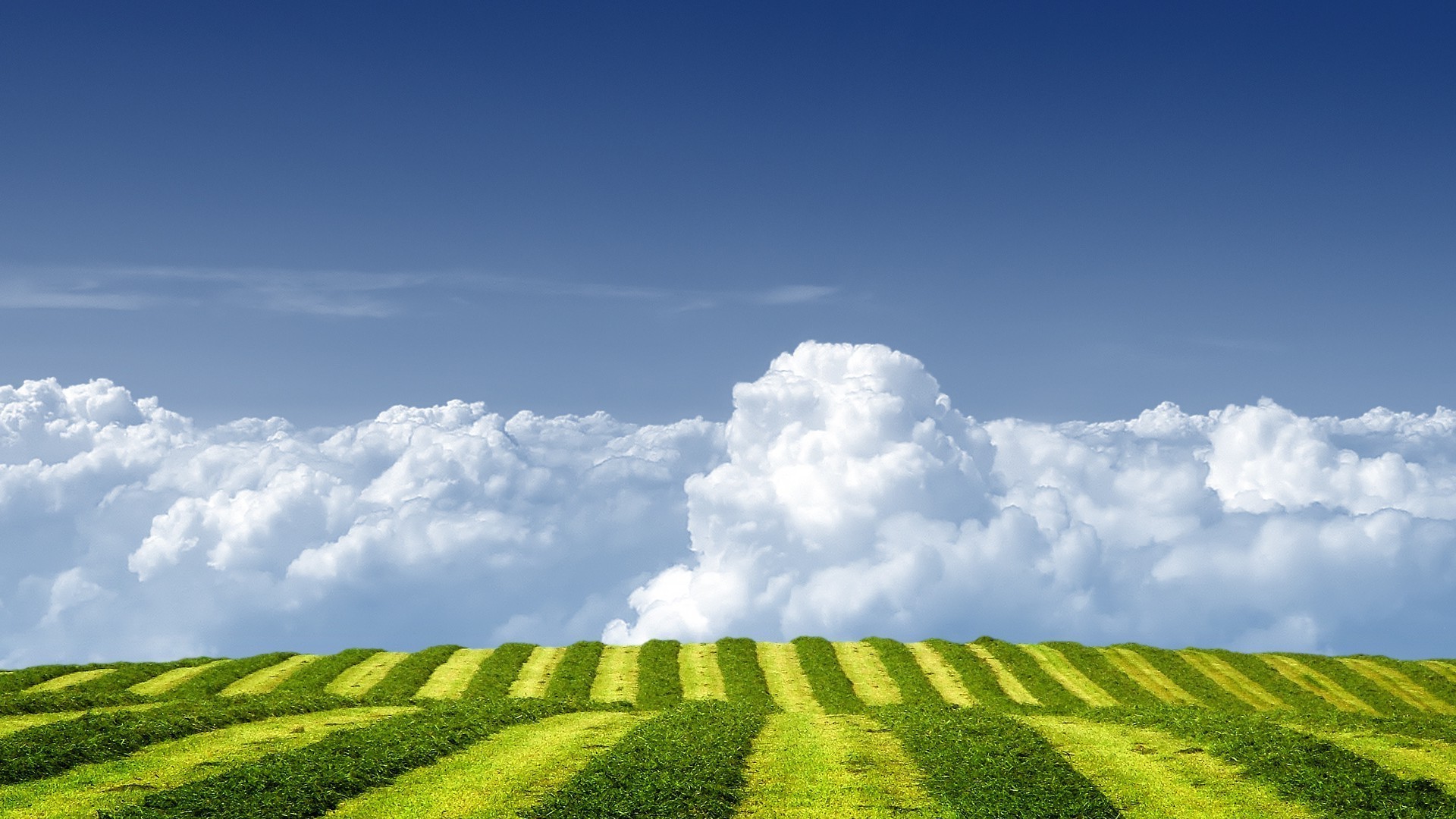 fields meadows and valleys rural grass countryside nature field pasture landscape sky summer agriculture farmland soil outdoors growth fair weather farm sun cloud