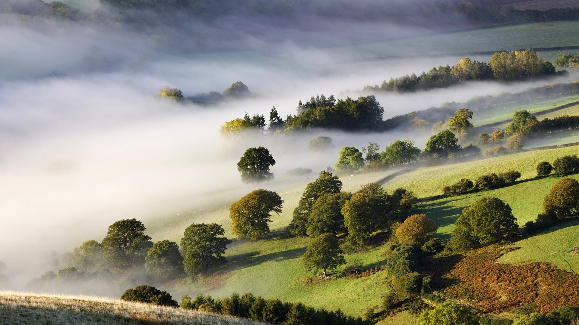 campos prados y valles paisaje naturaleza árbol cielo al aire libre escénico hierba colina viajes nube agricultura montaña agua campo amanecer luz del día puesta del sol heno verano