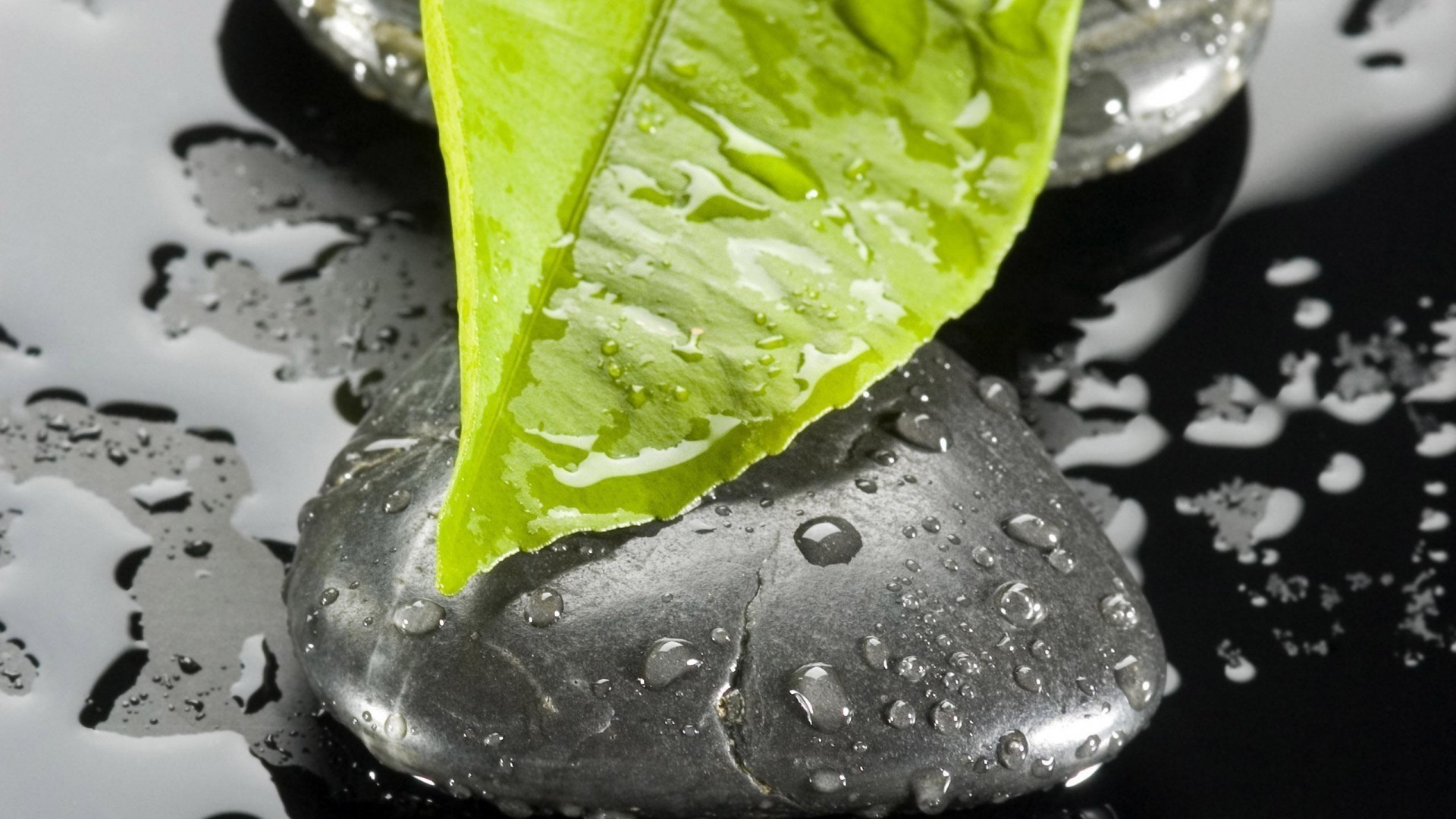 gotas e água água gota molhado chuva bolha saúde beber limpo líquido saudável frescor folha frio claro pureza gotas comida vidro ondulação