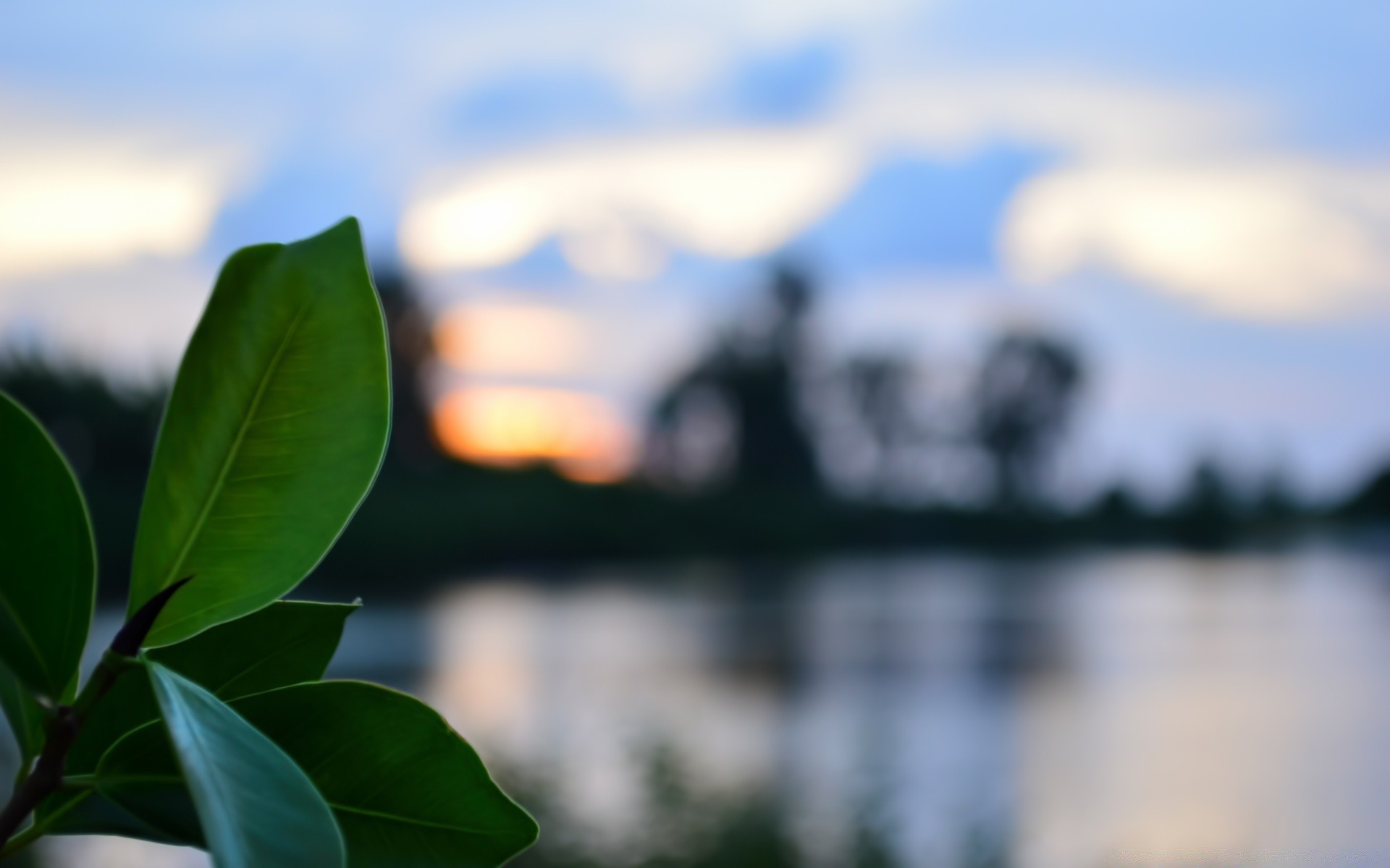 macro nature water sky reflection tree outdoors landscape summer lake travel leaf sun light river