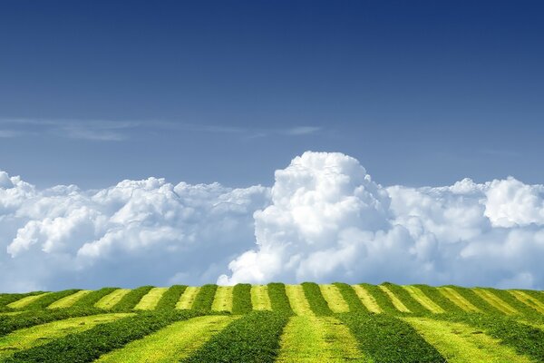 Paesaggio di campagna. Campi e valli