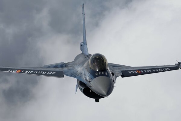 A beautiful fighter in flight in the sky