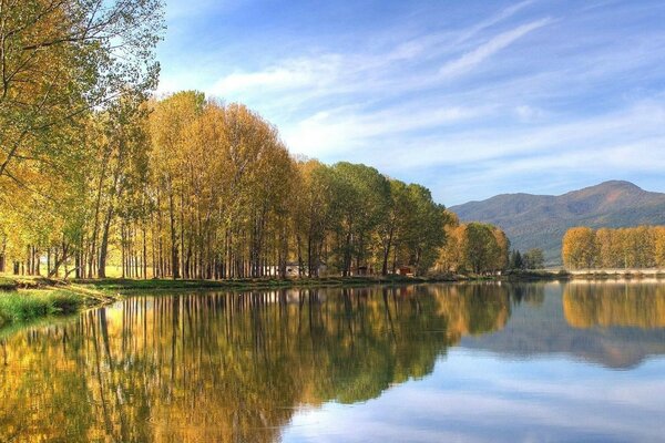 Reflejo en el estanque del bosque de otoño