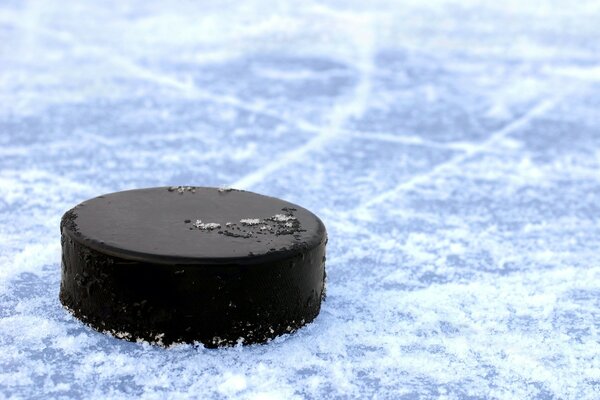 A hockey puck on frozen ice