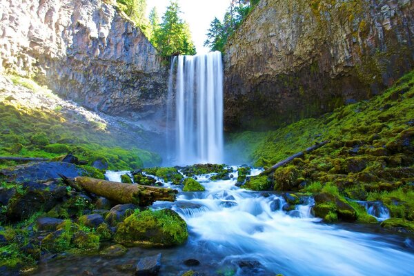 Alta cascata nelle foreste selvagge