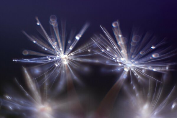 Big fireworks on a black background