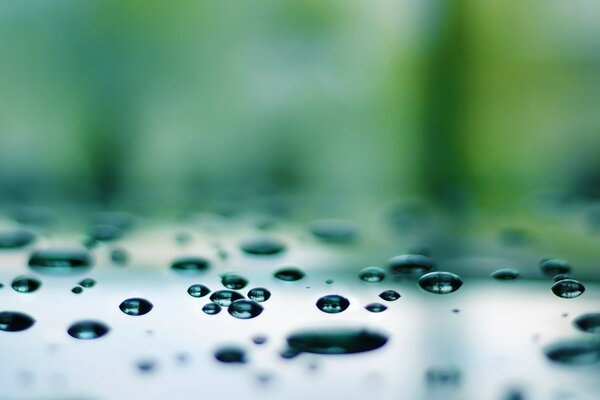 Macro photography of raindrops blurred