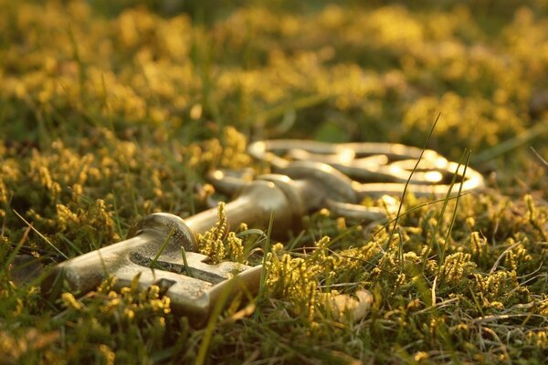 Macro photography of the key on the green grass