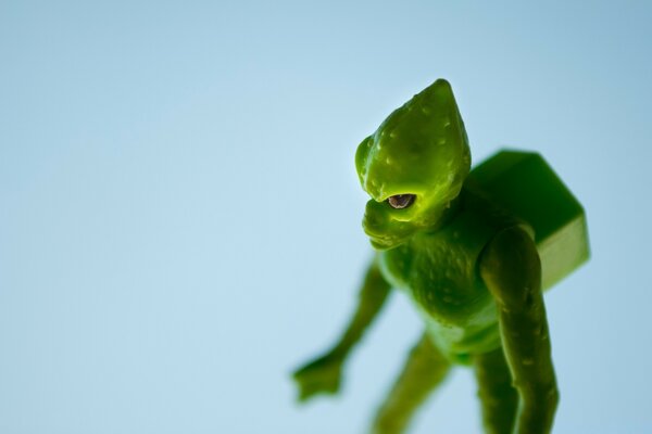 Flou lors de la prise de vue macro d une petite grenouille