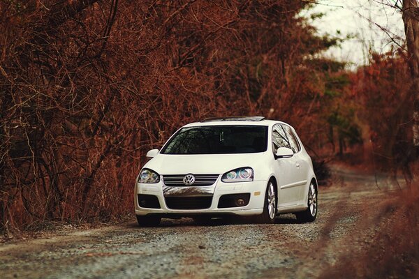 White car on the road in the autumn forest