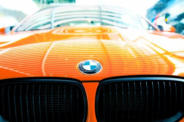 Capot moderne belle, Rousse BMW