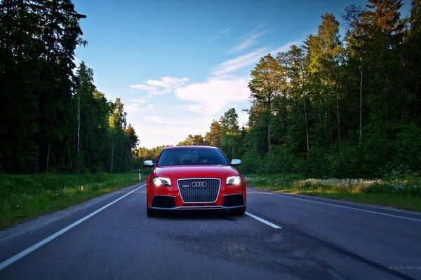 Red car on the road against the background of foliage and blue sky