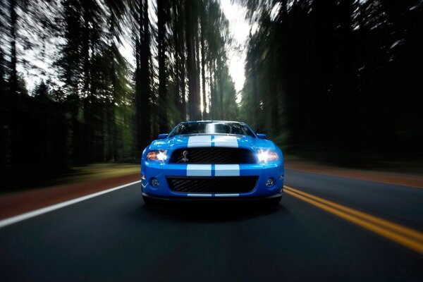 Racing car on forest highway