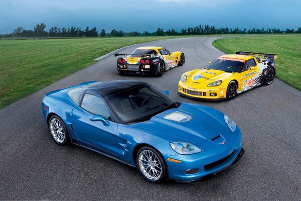 Three cars on the road in the field