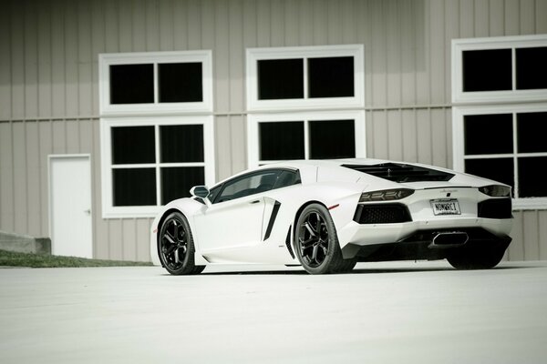 Black and white photo of a sports car at home