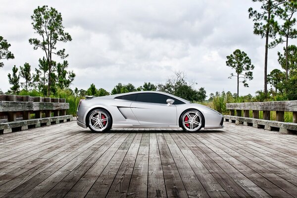 Voiture grise sur le paysage paysager