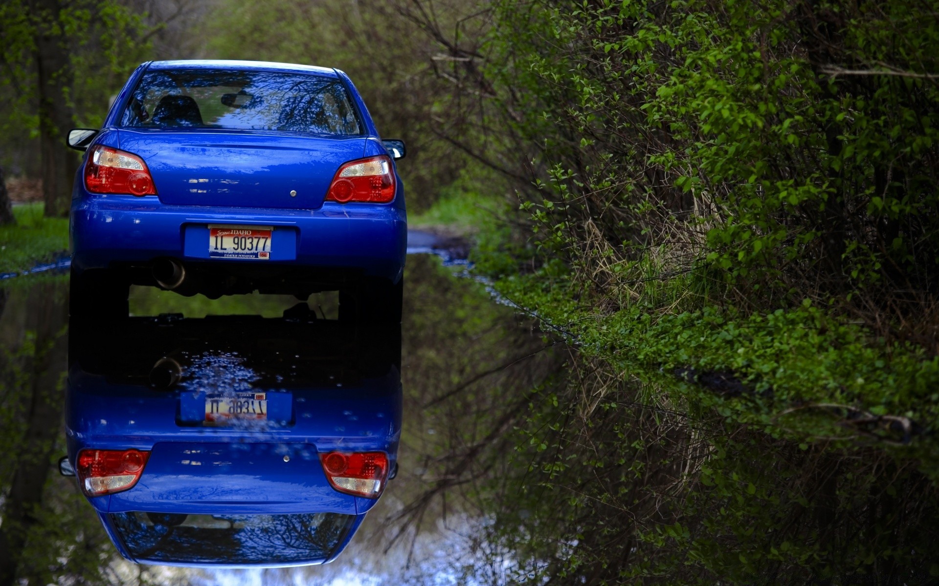 cars vehicle car outdoors transportation system wood water