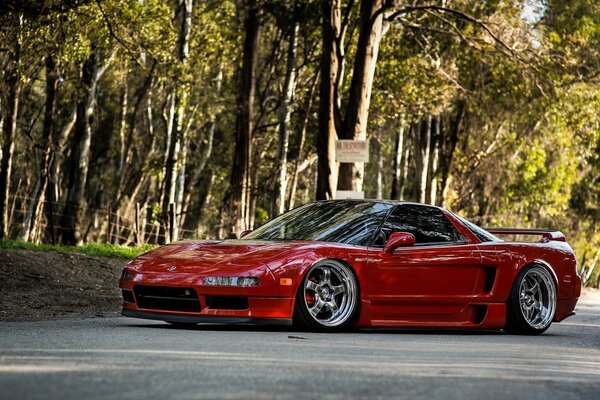 Red sports car in the woods