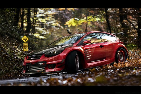 A beautiful car drives through the autumn forest