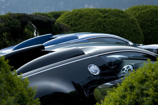 Voiture de luxe dans la verdure