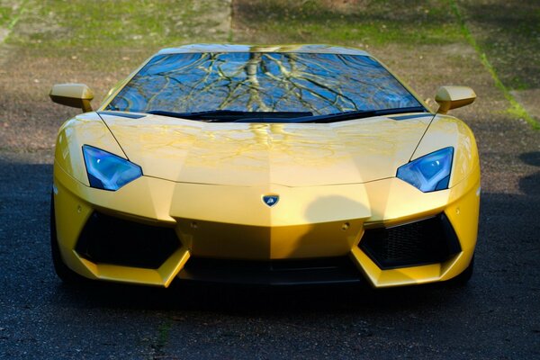 Coche deportivo para amantes de la velocidad