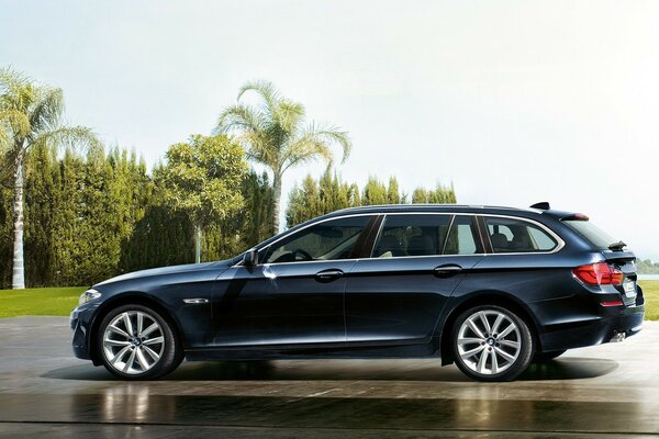 A black car is parked near green trees