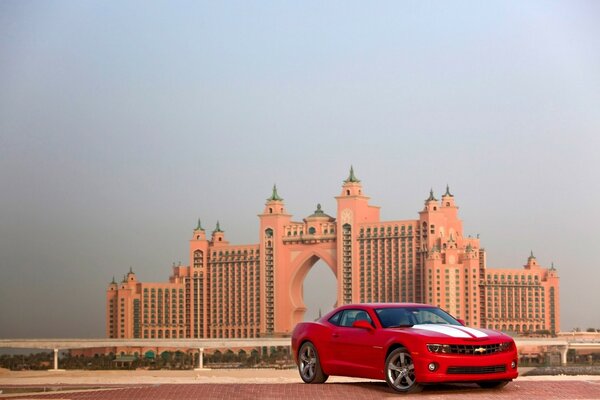 Passion et vitesse dans les rues de Dubaï