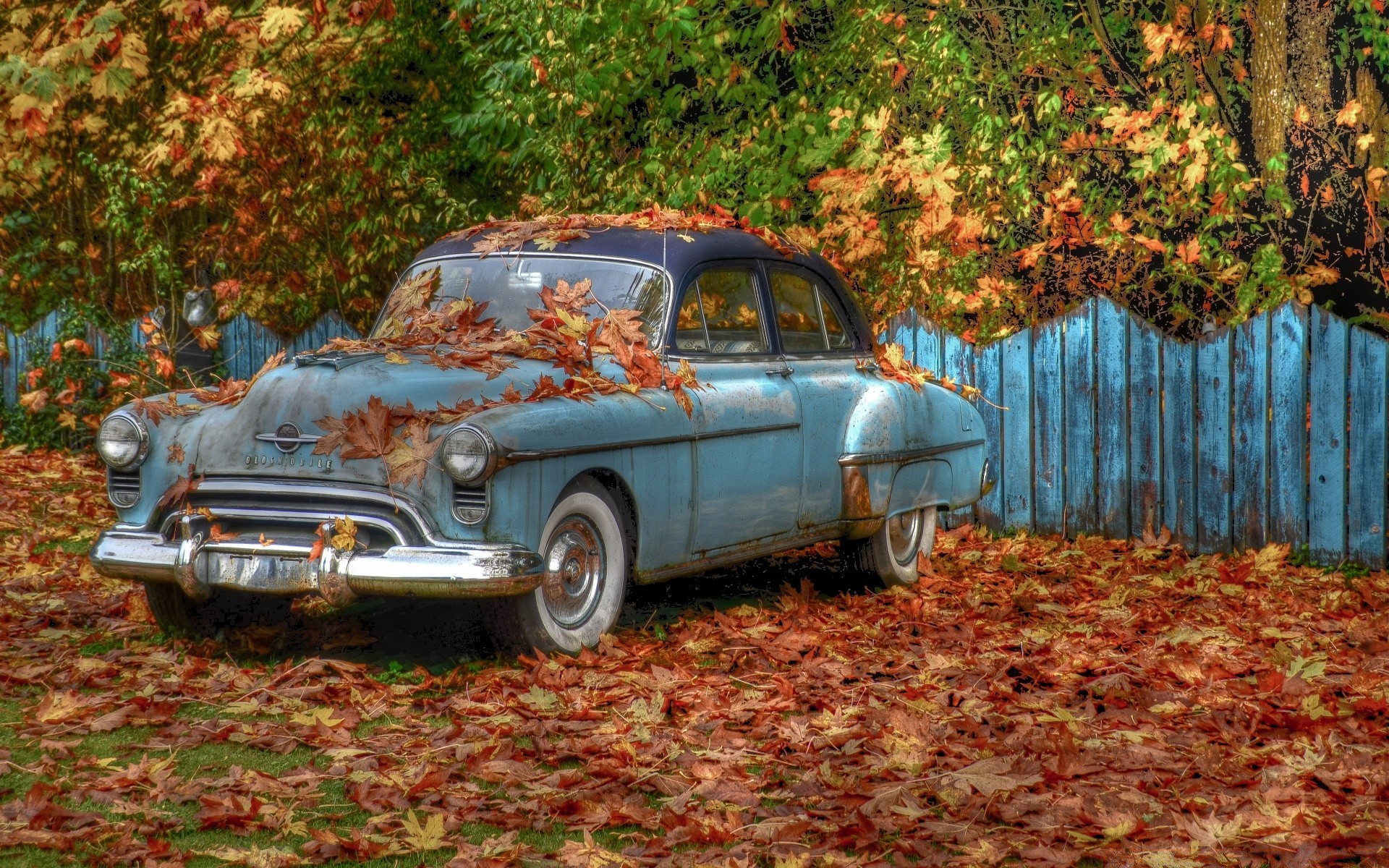 coches retro coche otoño coche hoja madera parque madera