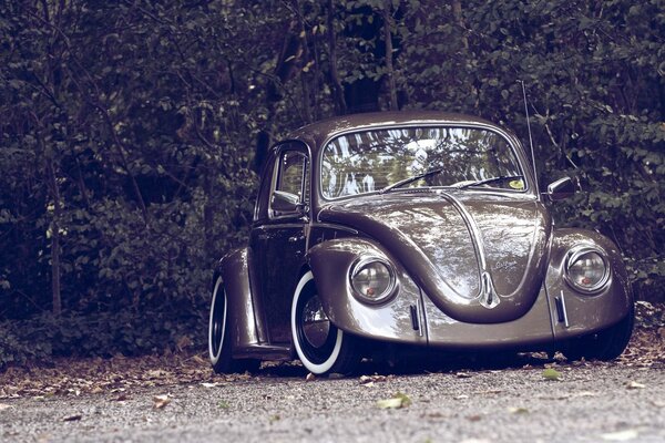 Classic retro car in nature