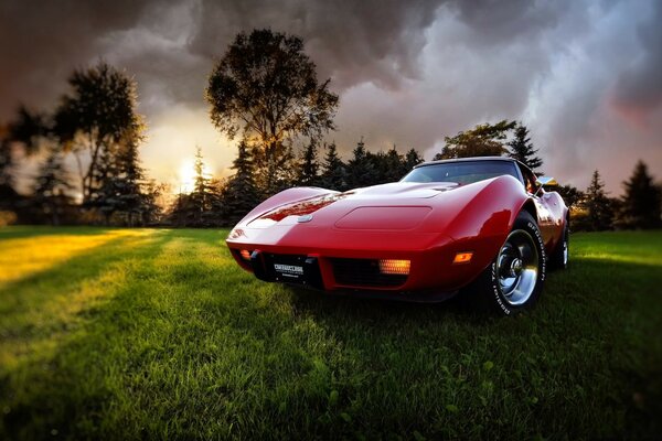 Voiture rétro rouge sur l herbe verte