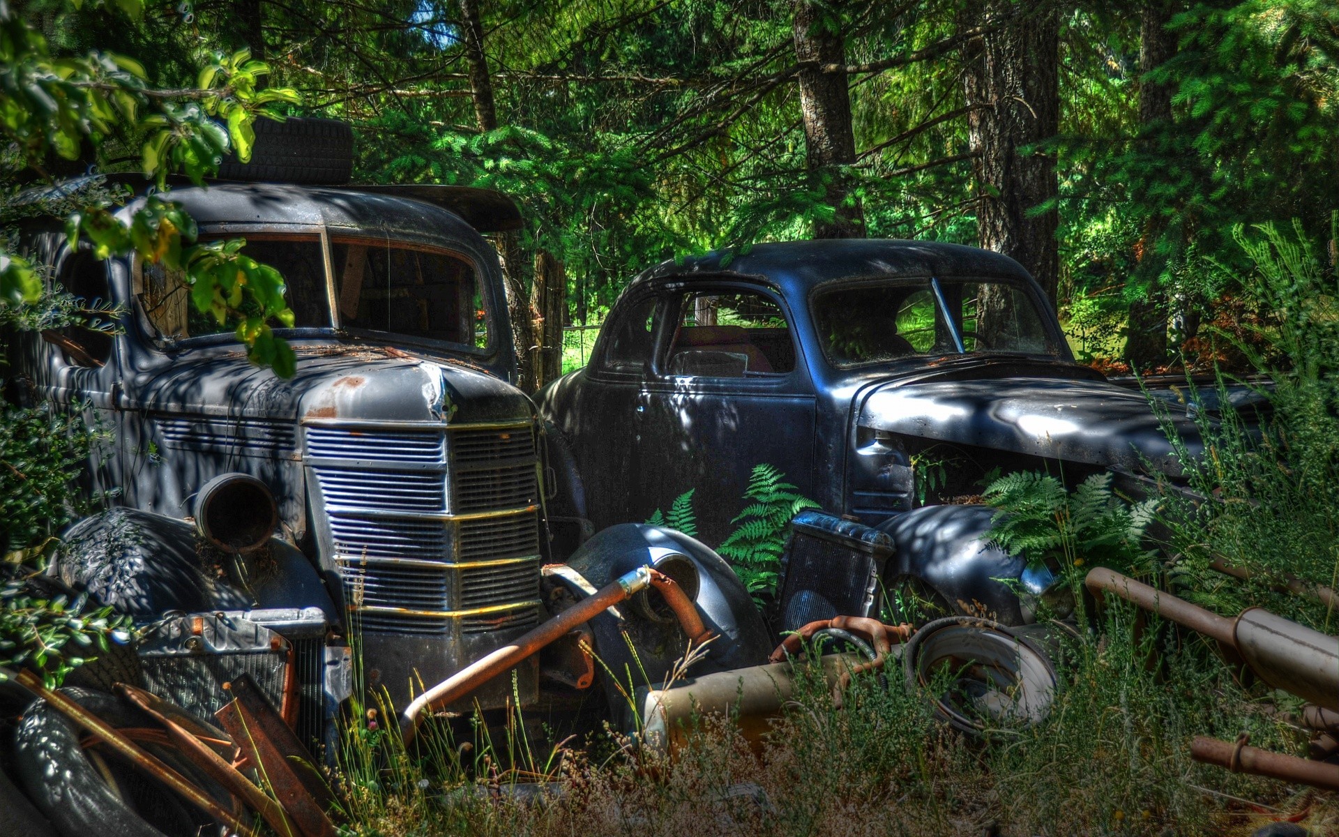 coches retro madera coche coche sistema de transporte madera ruedas luz del día carretera al aire libre naturaleza vintage accidente