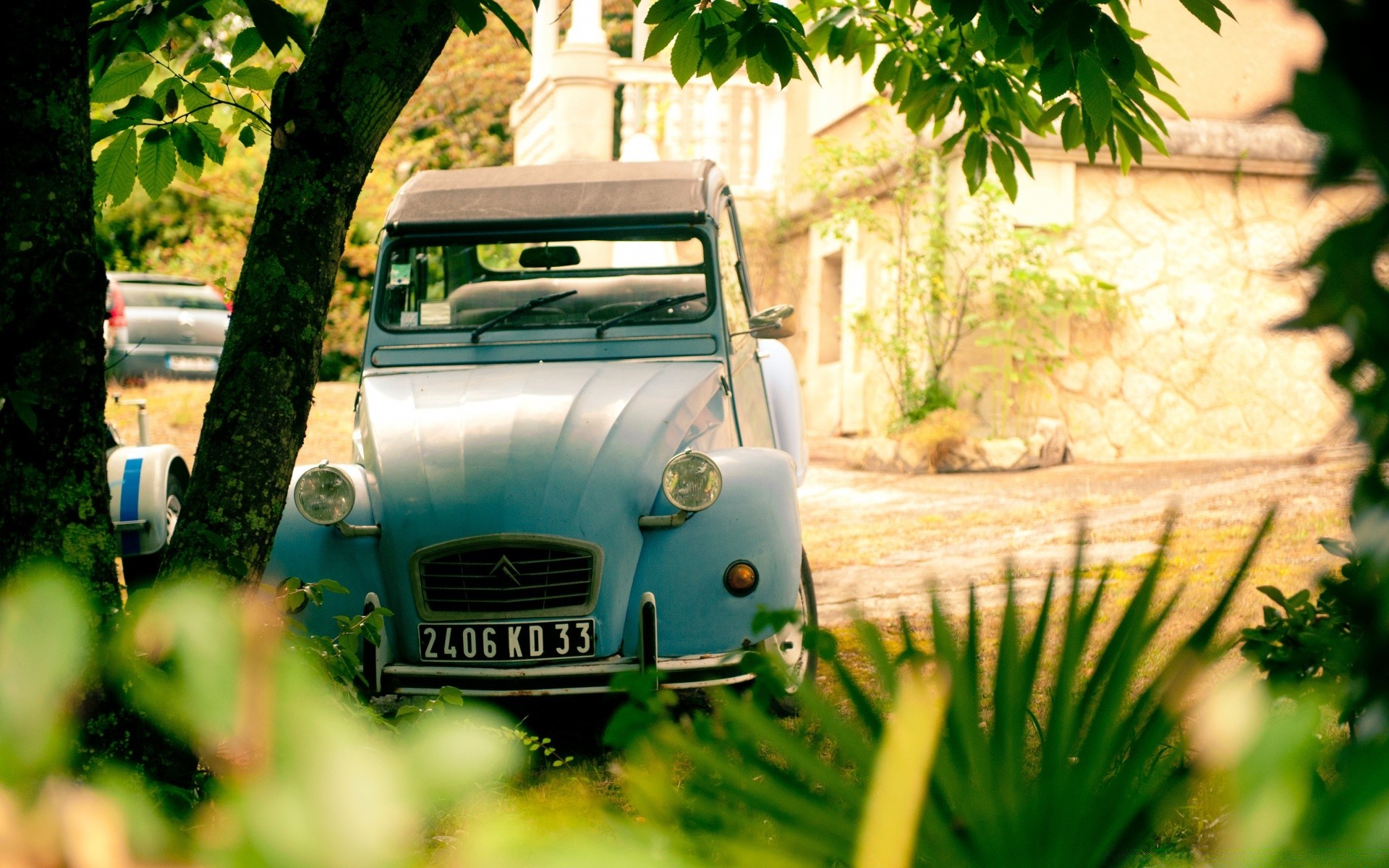 carros retro ao ar livre verão carro natureza grama viagens folha jardim carro árvore bom tempo madeira flor