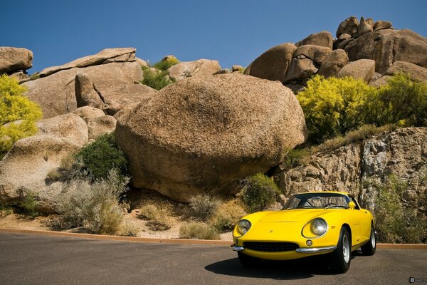 Beautiful retro car outdoors