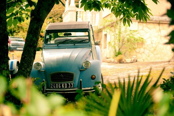 Auto retrò blu vicino al Prato