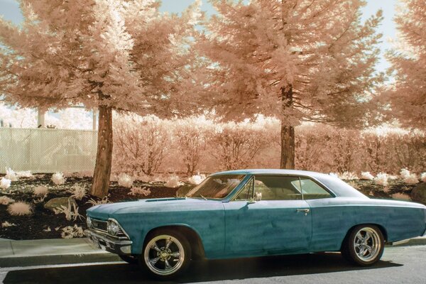 Blue retro car on a background of trees