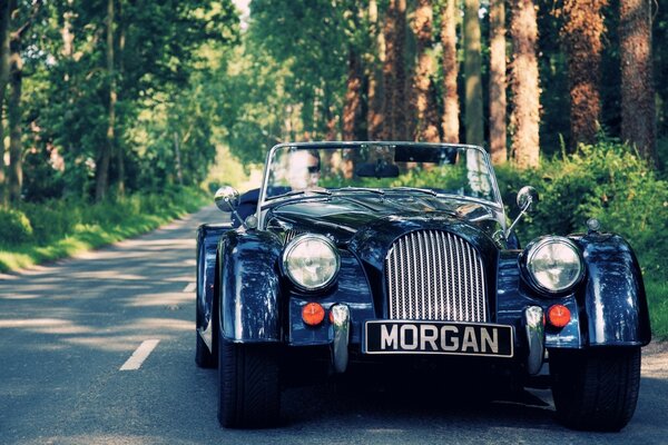 Black Retro car in nature