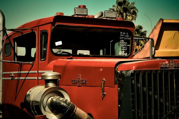 Red truck at the palm tree