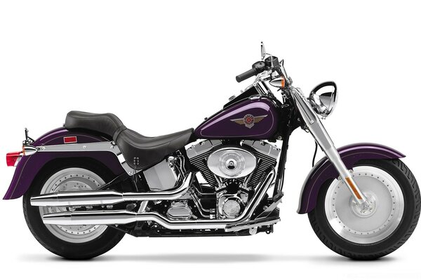 Purple bike on a white background