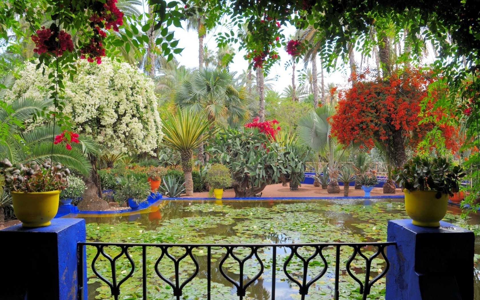 rios lagoas e riachos lagoas e riachos jardim flor árvore flora verão piscina pátio tropical decoração natureza botânico folha parque cor hotel arbusto resort palma férias