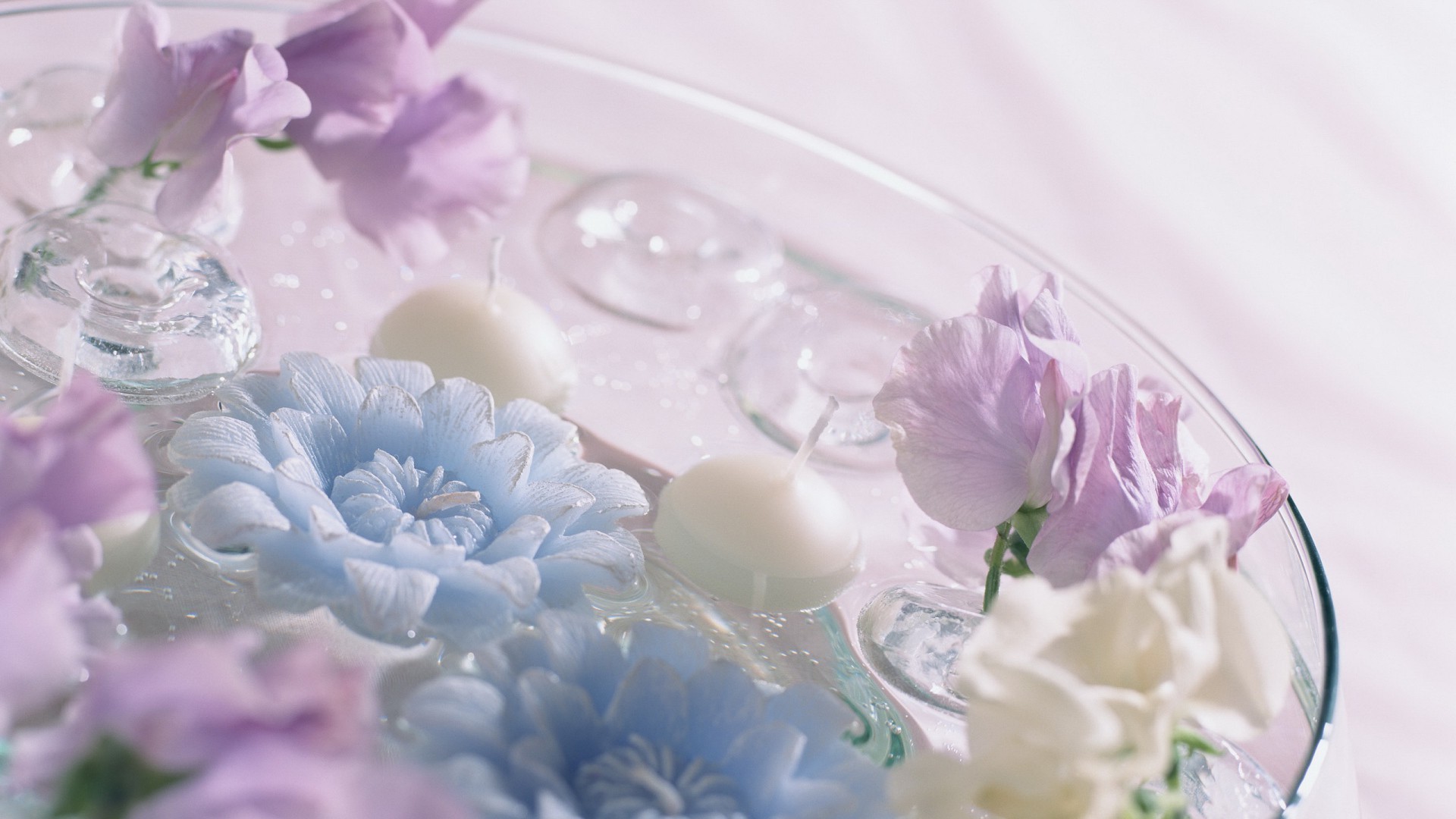 flores flor boda floral decoración ramo hermosa flora romántico escritorio primer plano pétalo color bluming regalo lujo vacaciones romance naturaleza nupcial matrimonio
