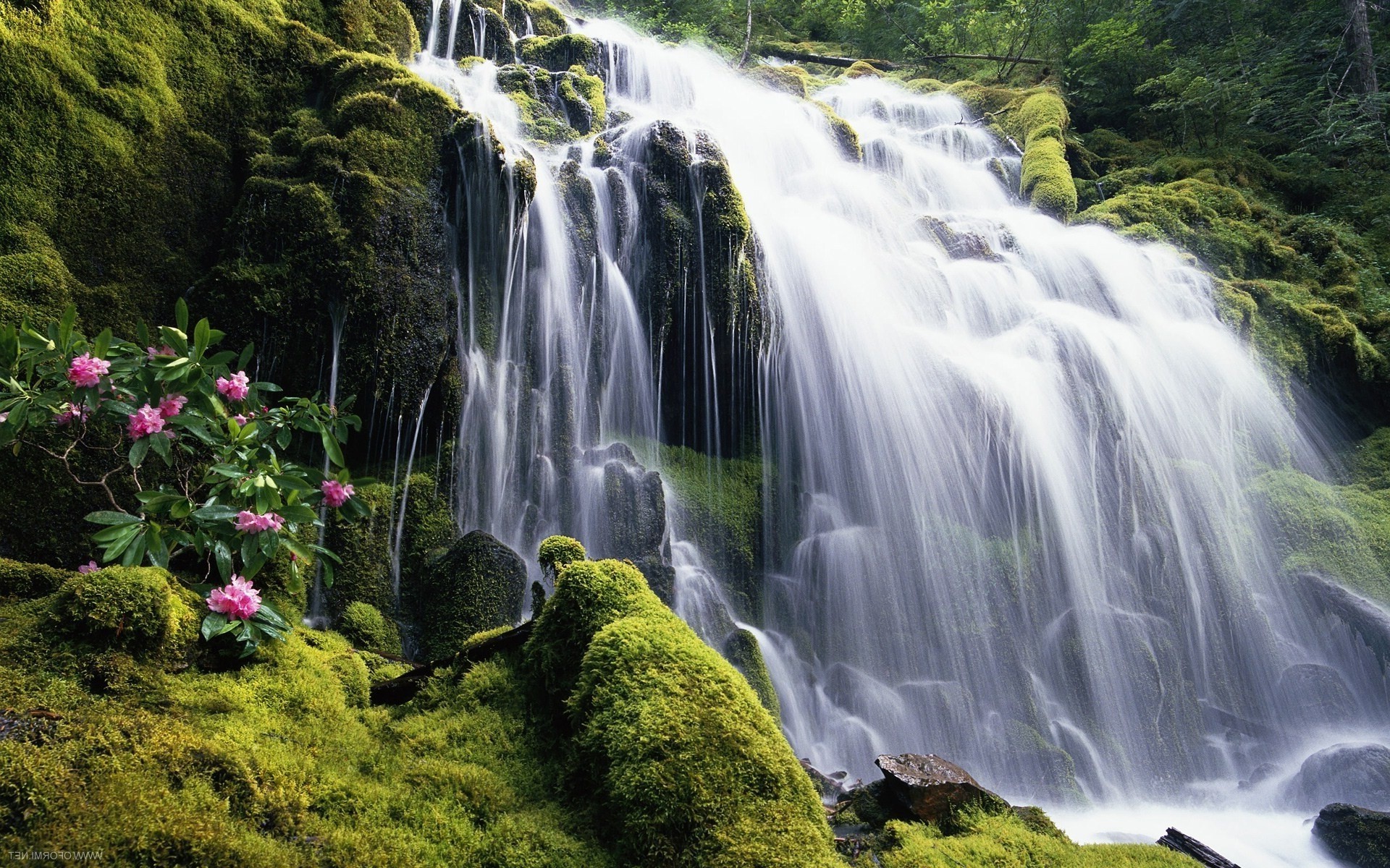 瀑布 瀑布 水 自然 木材 河 流 级联 岩石 景观 户外 苔藓 秋天 旅游 叶 山 公园 野生 流 湿
