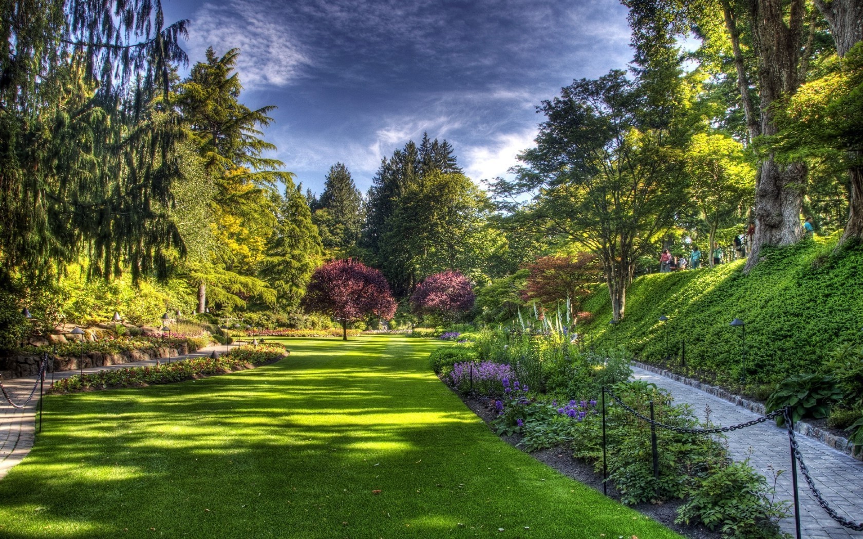 parques árvore natureza grama paisagem gramado jardim parque verão guia madeira folha cênica ao ar livre espetáculo flora temporada bom tempo caminho