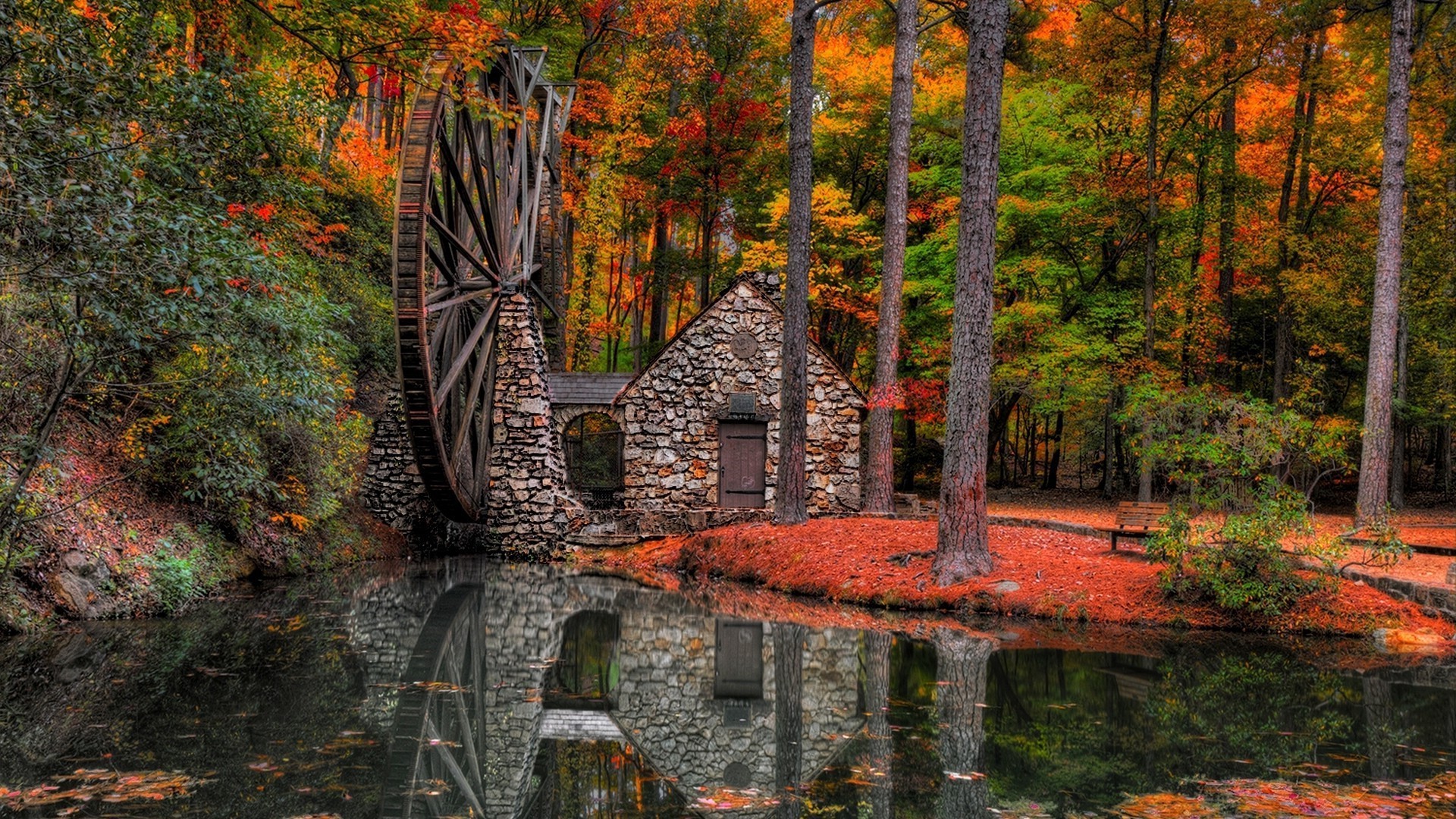 flüsse teiche und bäche teiche und bäche herbst blatt holz holz natur im freien landschaft ahorn park wasser reisen