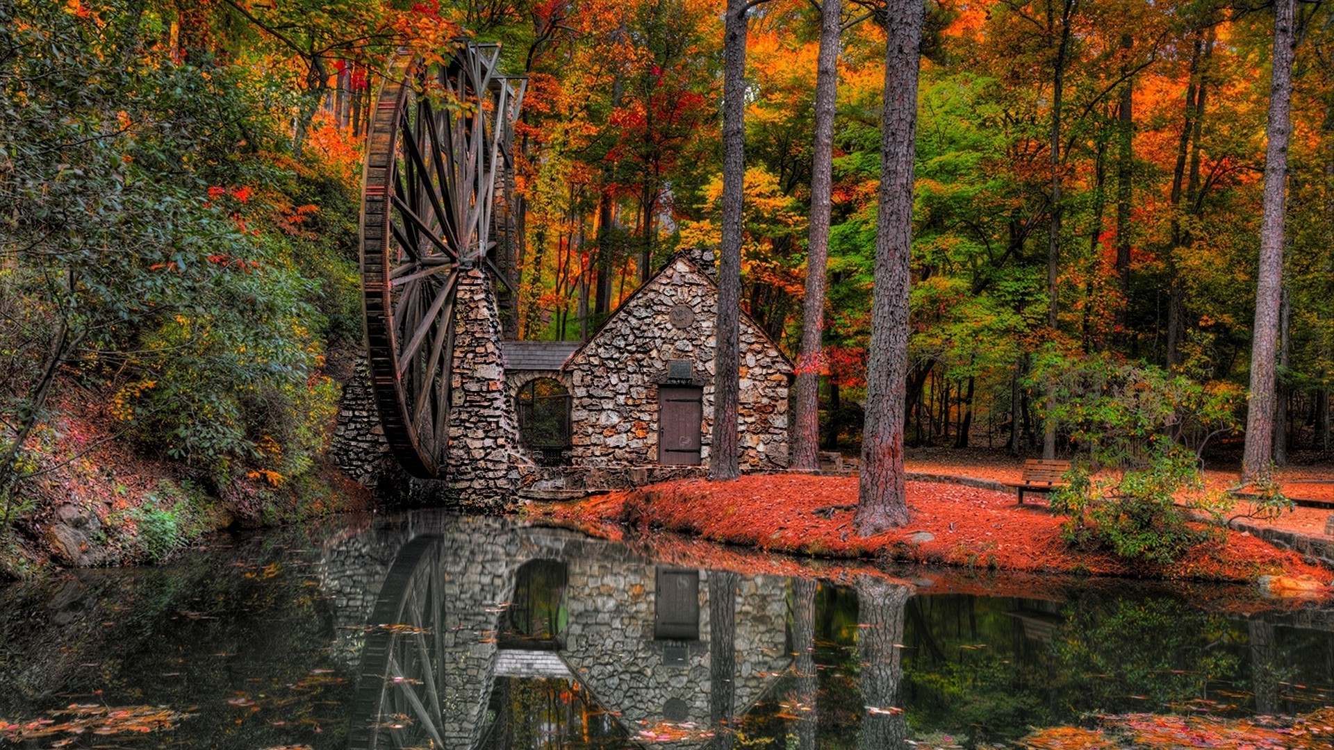 rivers ponds and streams fall leaf wood tree nature outdoors landscape maple park water travel